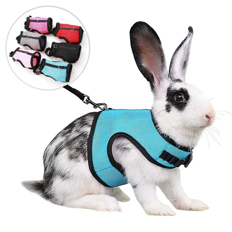 Adjustable Pet Harness and Leash Set