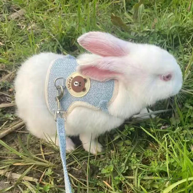 Bunny Harness and Leash Set