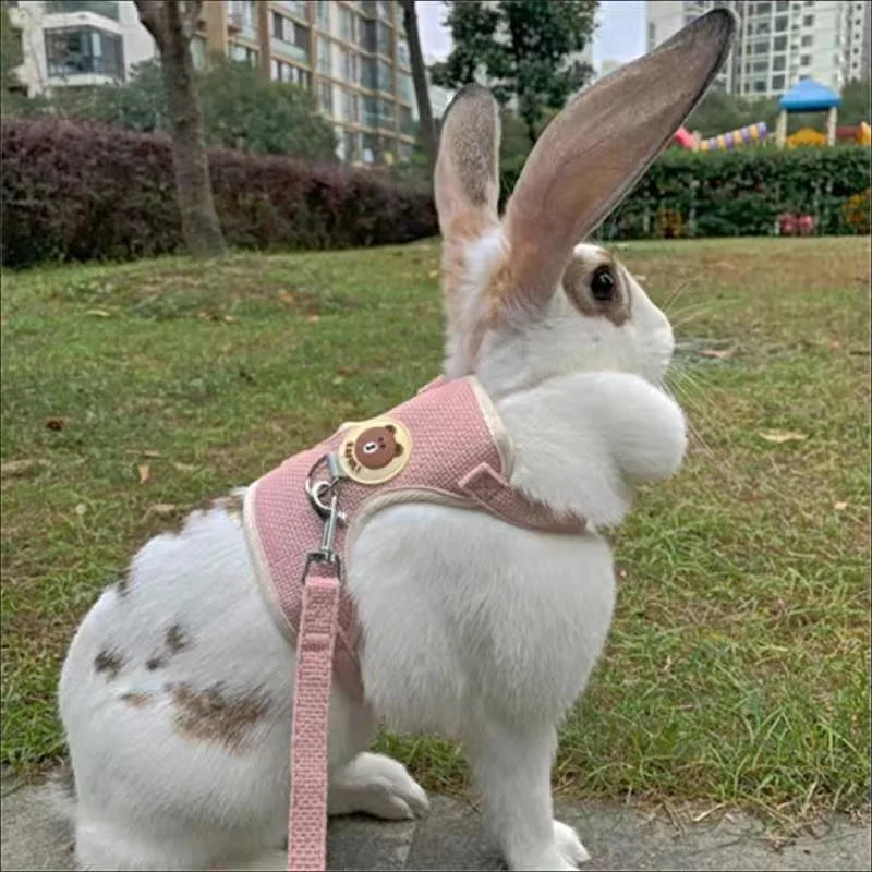Bunny Harness and Leash Set
