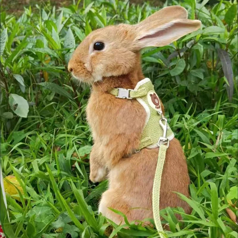 Bunny Harness and Leash Set