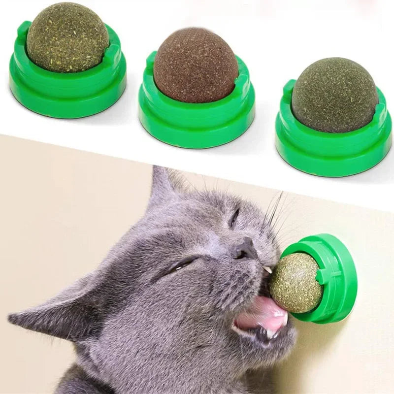 Catnip Delight: Wall Stick-On Ball Toy & Treat