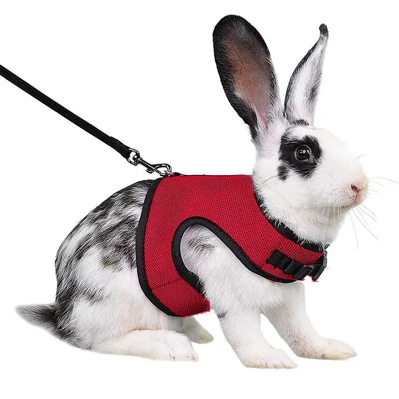 Adjustable Pet Harness and Leash Set